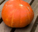 DSC00848.jpg